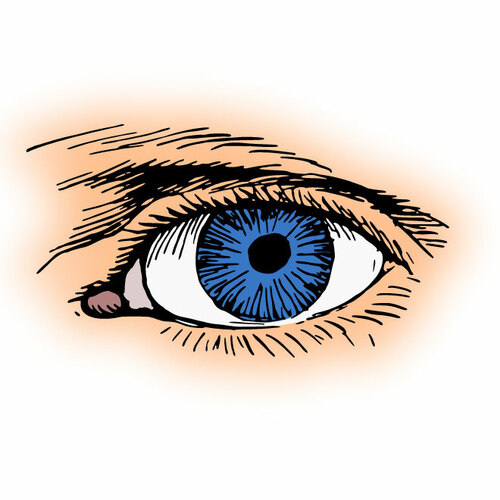 Blue Eye Clipart