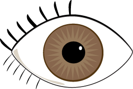 Clip Art Brown Eyes Download Png Clipart