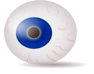 Eyeball Free Download Png Clipart
