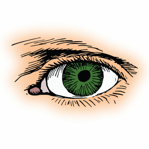 Green Eye Human Face Clipart