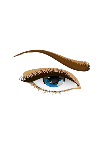 Of Brown Eyebrow Eye Clipart