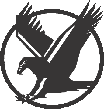 Falcon Png Image Clipart