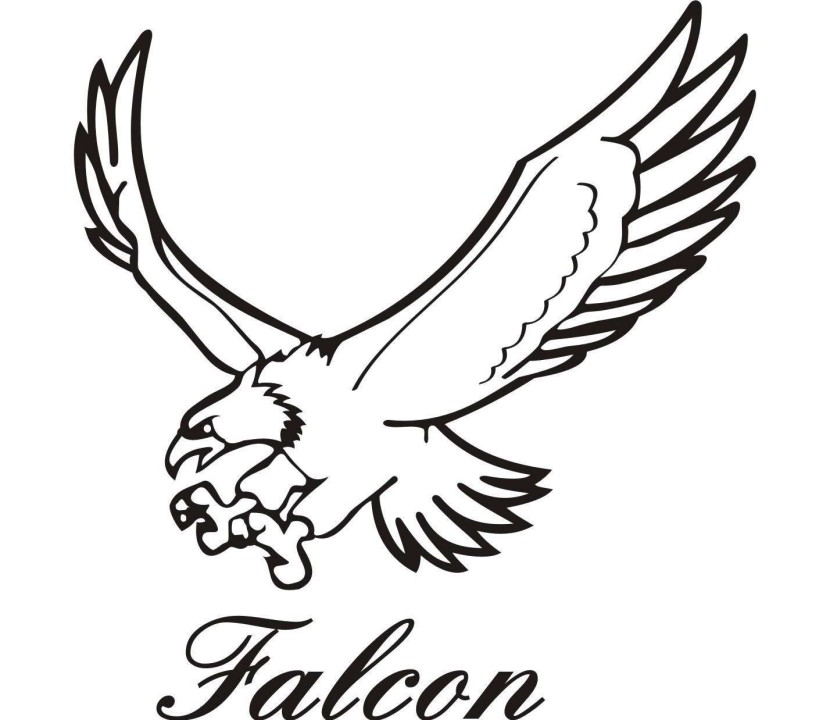 Falcon Hd Photo Clipart
