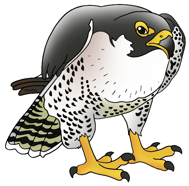 Peregrine Falcon Image Png Clipart