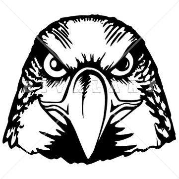 Falcon Head Clipart Clipart