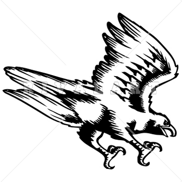 Falcon Images Image Png Clipart