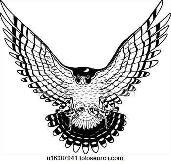Falcon Images Png Image Clipart