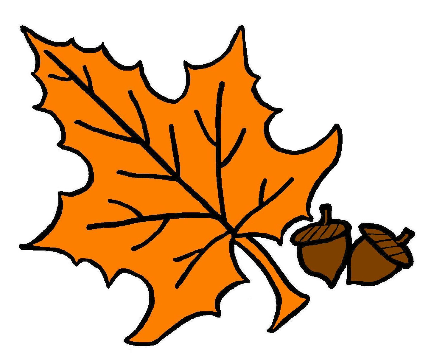 Free Fall Leaf Free Download Png Clipart