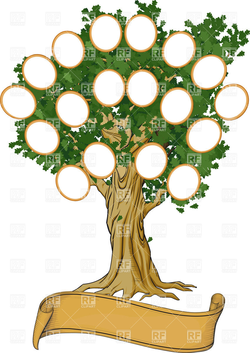 Family Tree Images Hd Photo Clipart