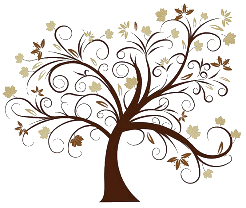 Family Tree Roots Images Hd Image Clipart