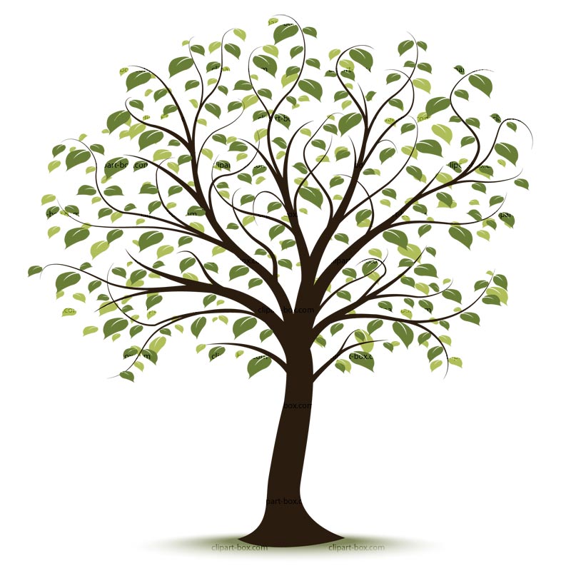 Clip Art Family Tree Download Png Clipart