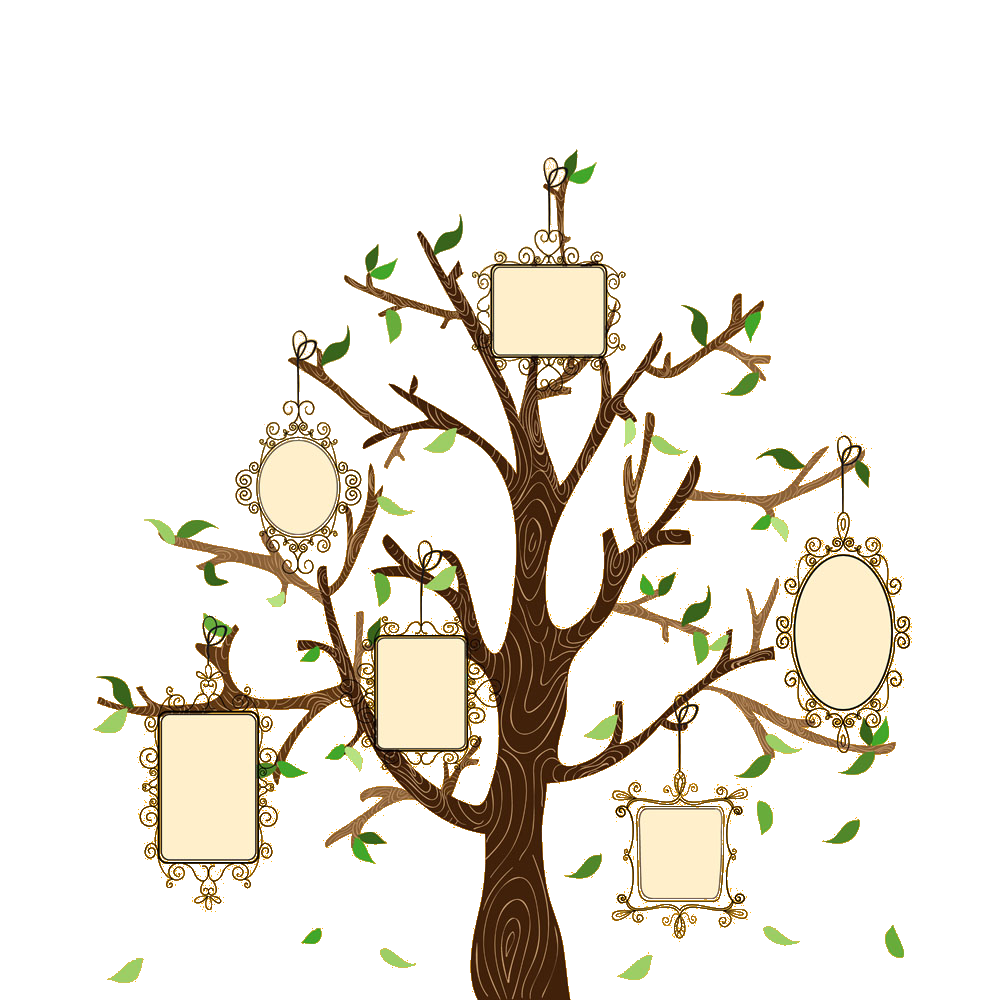 Family Tree Illustration Creative Euclidean Vector Clipart