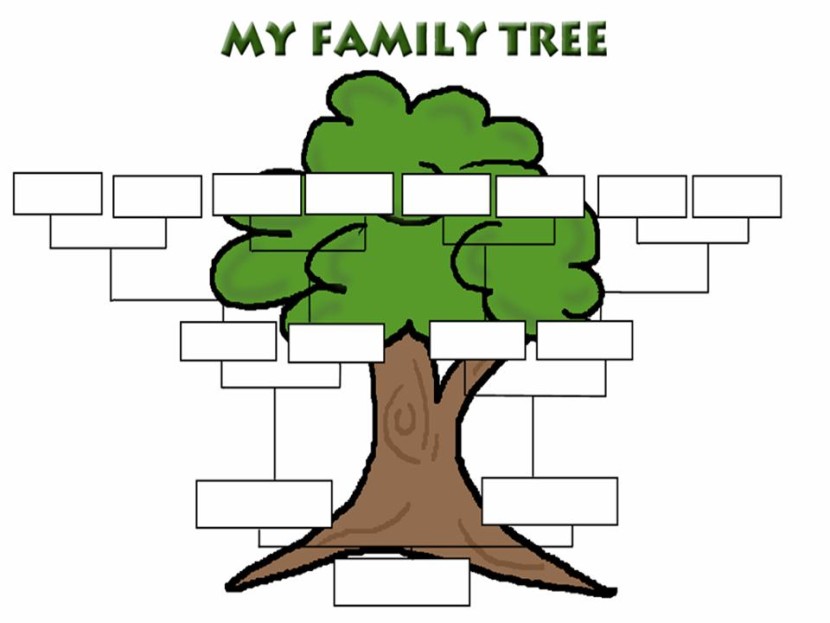 Family Tree Png Image Clipart