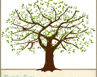 Family Tree Tree Image Png Image Clipart