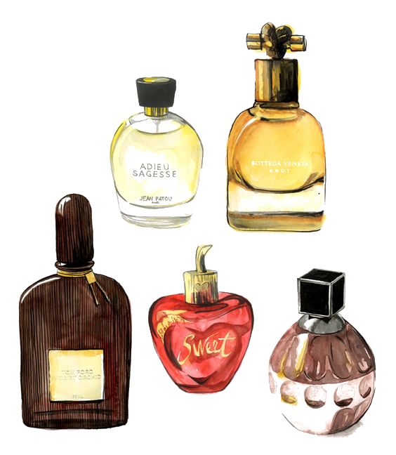 Fashion Illustration Perfume Free Download Image Clipart