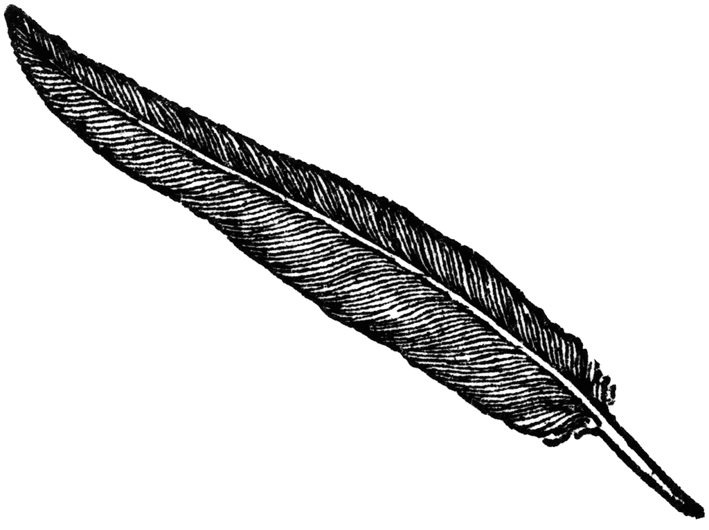 Feather Clipart Clipart