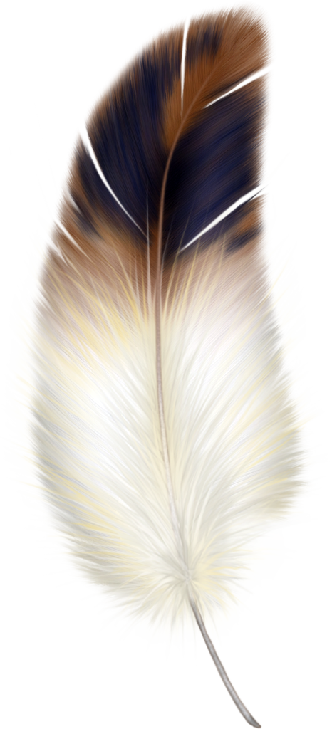 Brown And White Feather Png Images Clipart