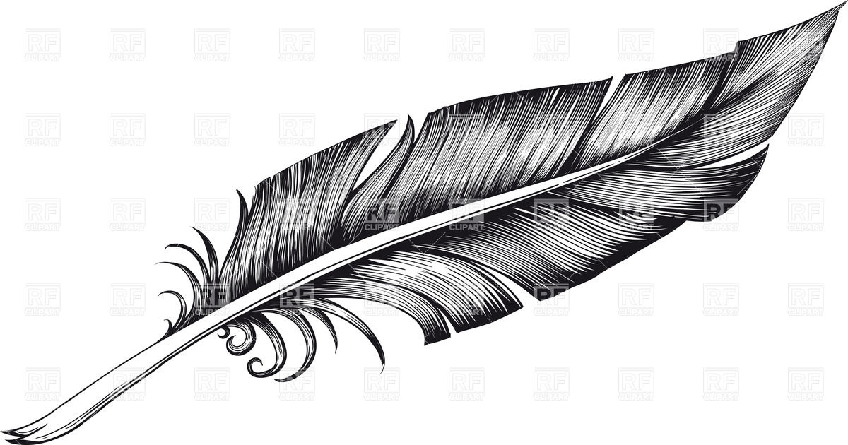 Feather To Download Hd Image Clipart