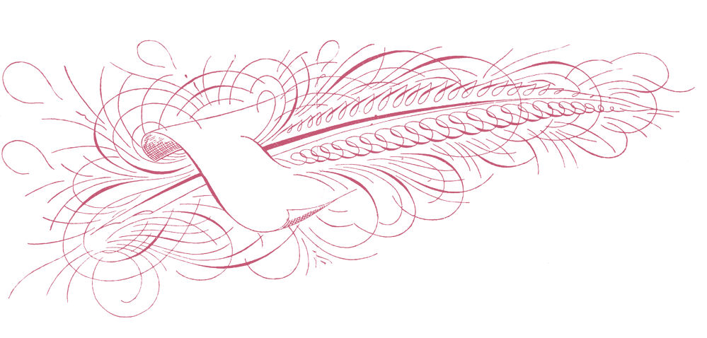 Feather Images 2 Free Download Png Clipart