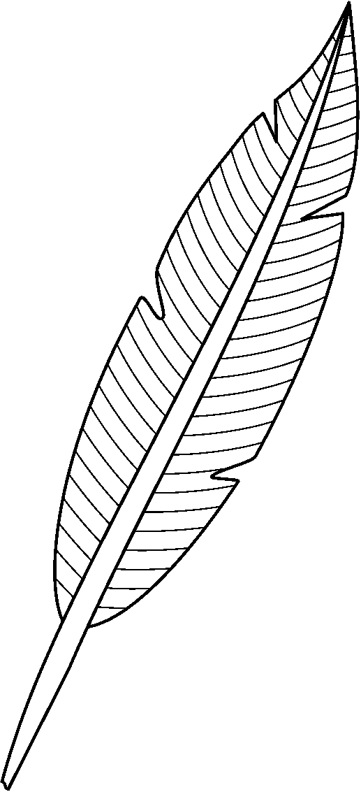 Feather Black And White Image Png Clipart
