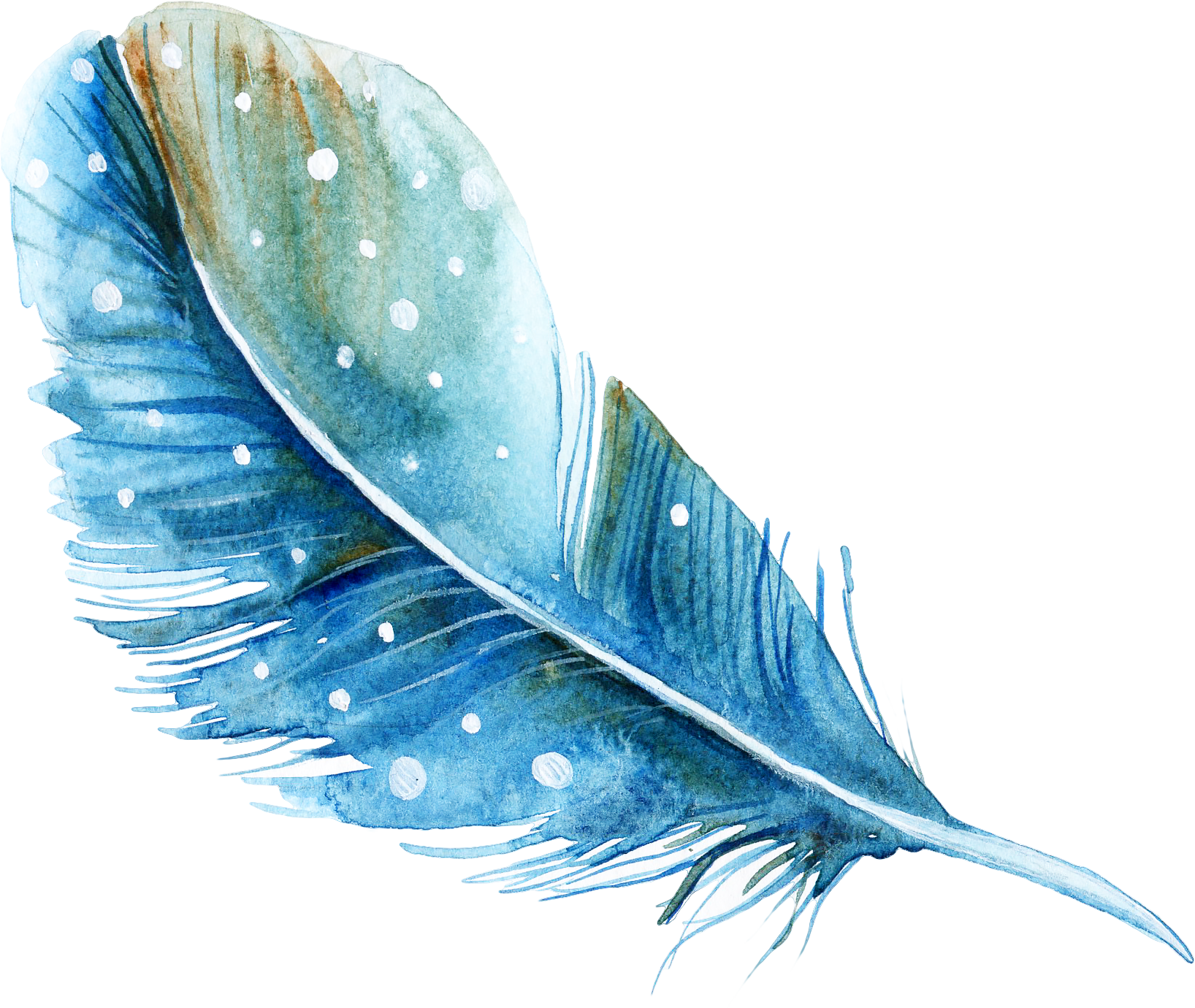 Watercolor Feather Painting PNG Image High Quality Clipart