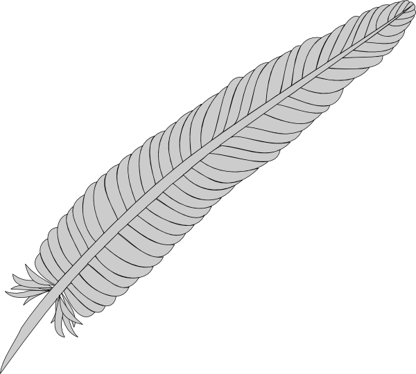 Feather At Vector Hd Photo Clipart