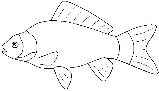Fish Black And White Printable Saltwater Fish Clipart