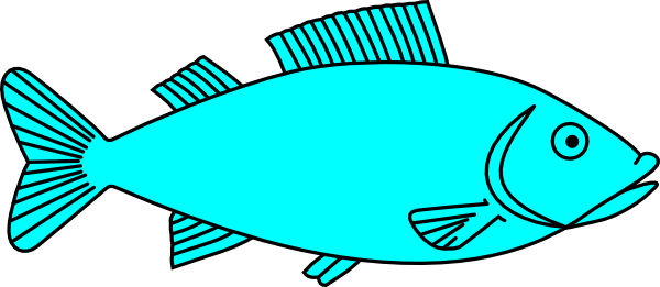 Fish Transparent Image Clipart