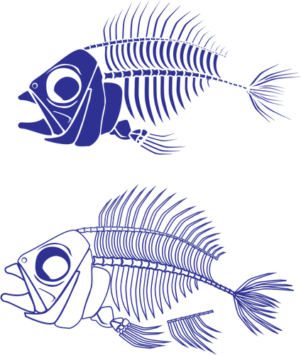 Fish Skeleton Clipart