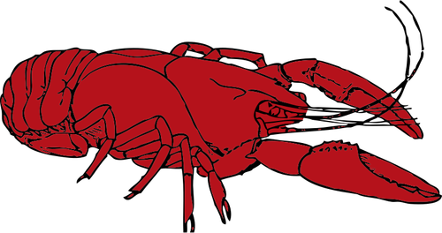 Red Crayfish Clipart