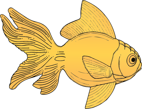 Generic Orange Fish Clipart