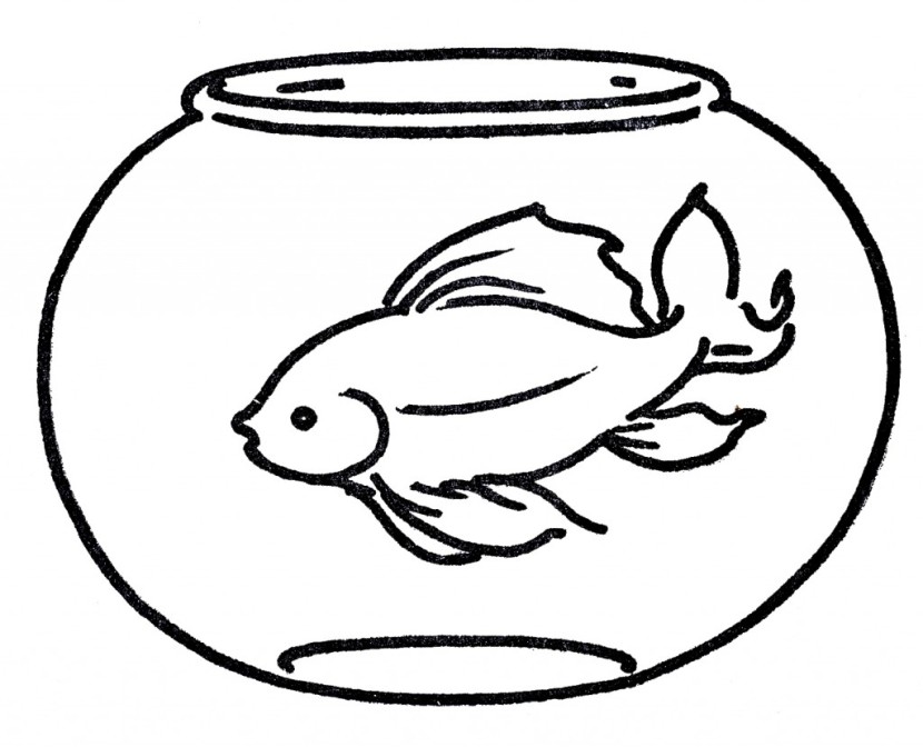 Fish Bowl Goldfish Hd Image Clipart
