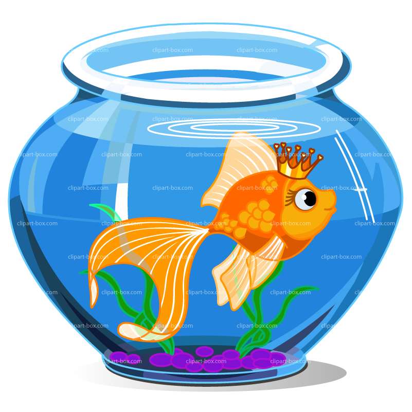 Cute Fish Bowl No Png Image Clipart
