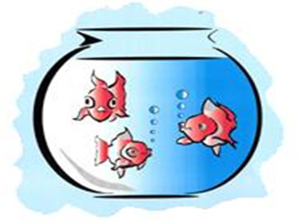 Fish Bowl Famclipart Png Image Clipart