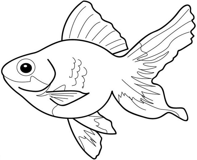 Fish Tropical Fish Clipart Clipart