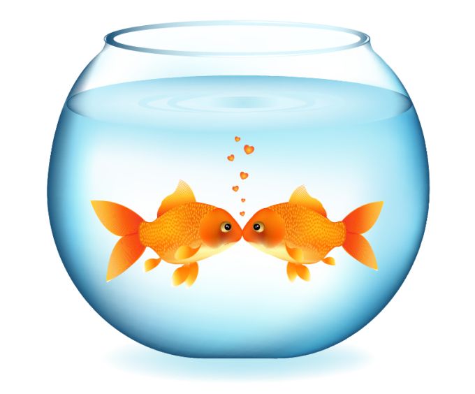 Fish Bowl Image Free Download Png Clipart