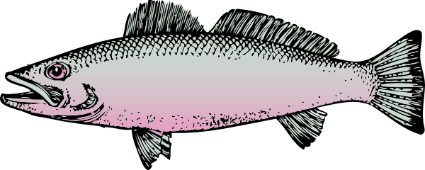 Clipart Of Fish 5 Image Hd Image Clipart