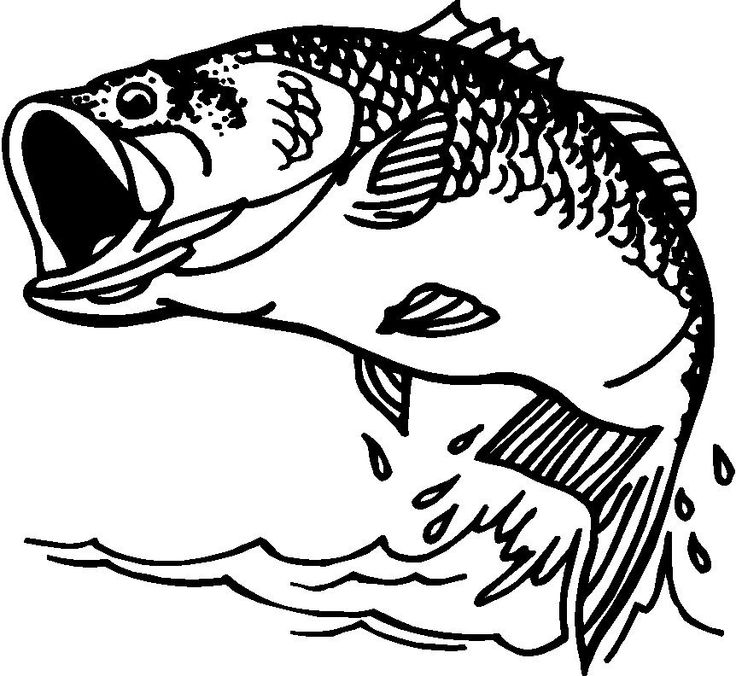 Bass Fish Fish From Votes Quoteko Oghw6J4V Clipart