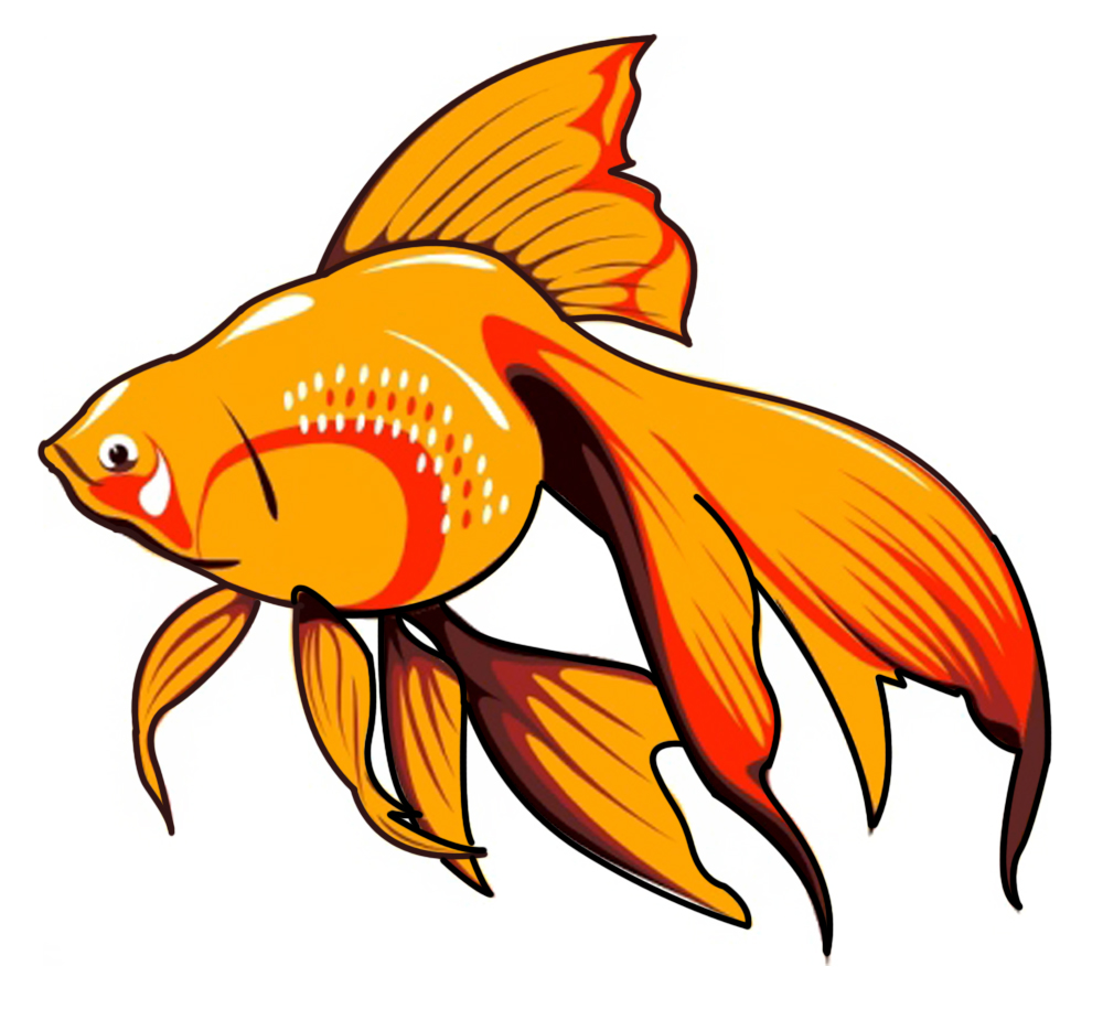 School Of Fish Images Download Png Clipart