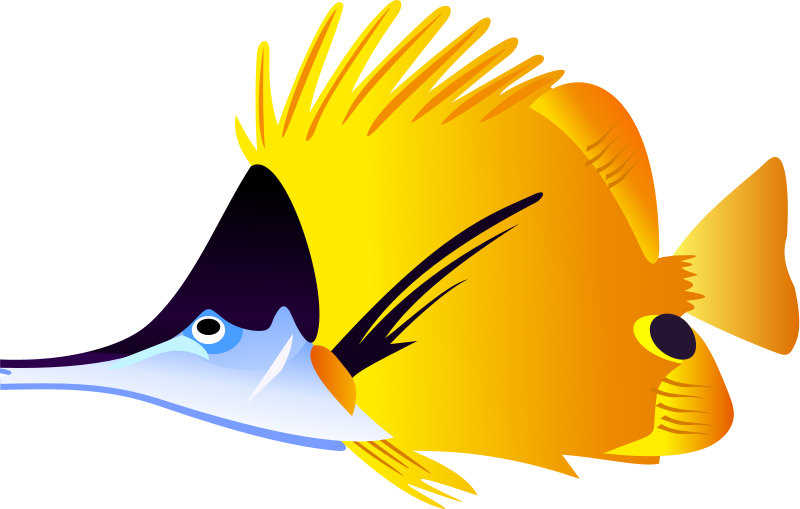 Angel Fish Images Image Png Clipart