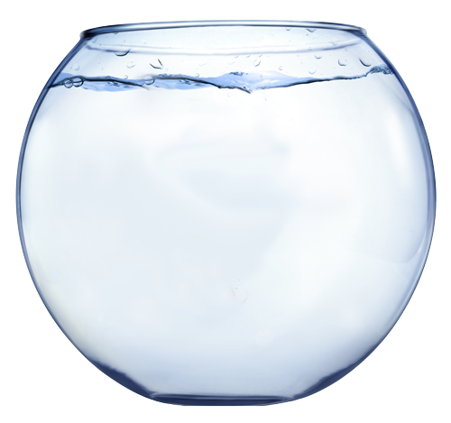 Fish Bowl Download On Png Image Clipart