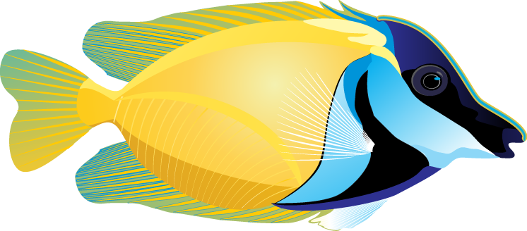Fish Free Download Png Clipart