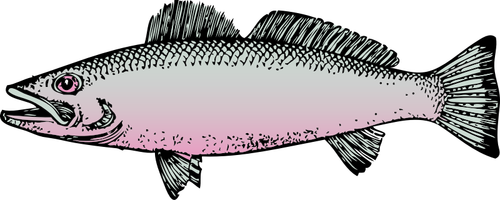 Generic River Fish Clipart