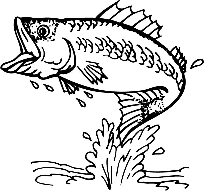 Fishing On Fishing And Fish Hd Photo Clipart
