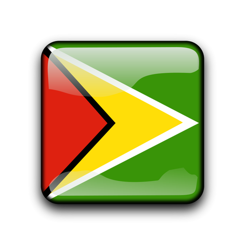 Guyana Flag Button Clipart