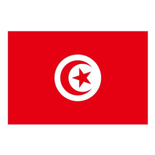 Flag Of Tunisia Clipart