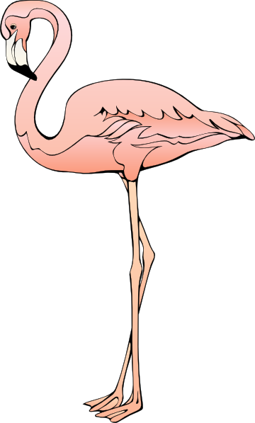 Flamingo To Use Hd Photos Clipart