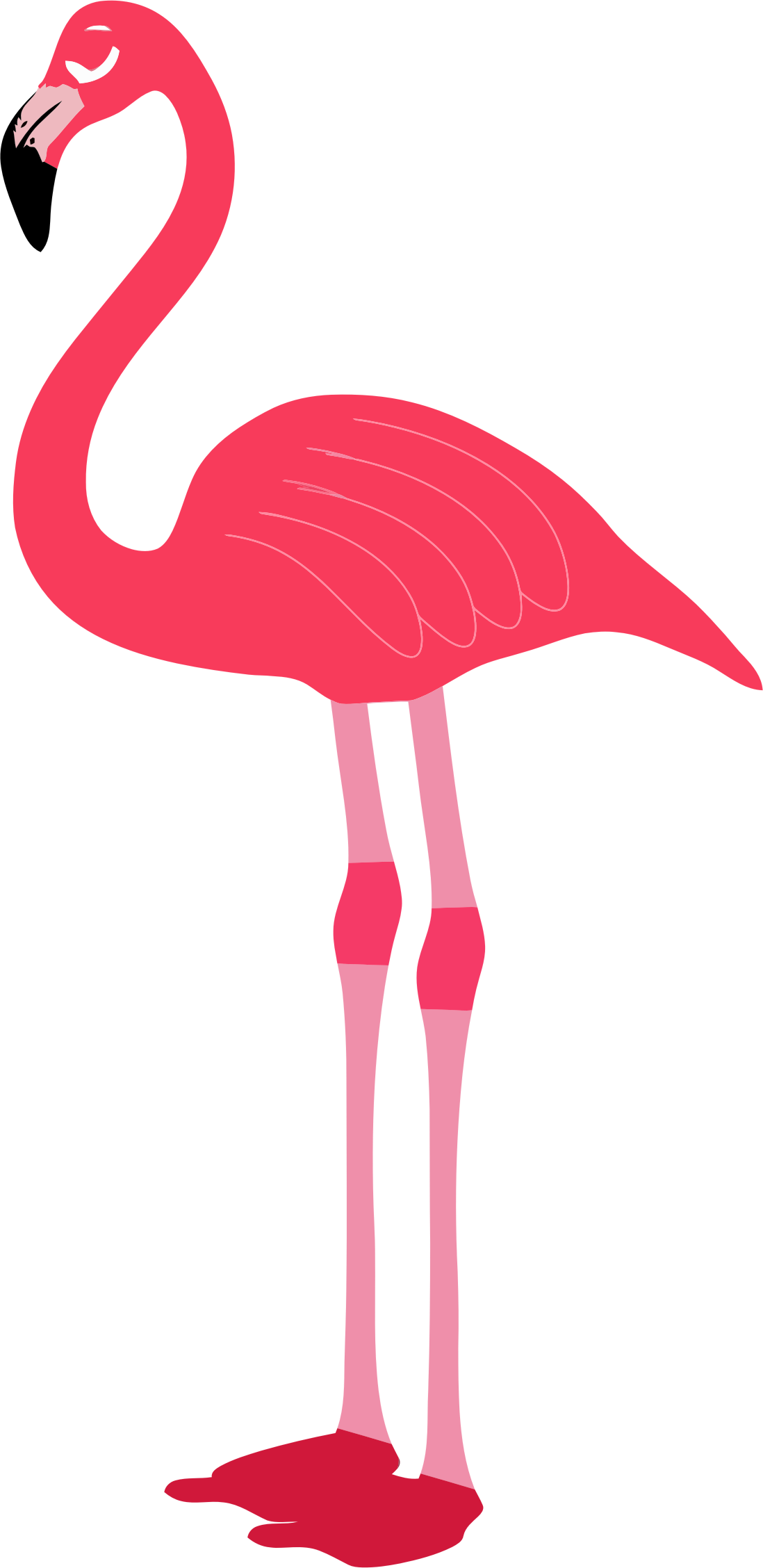 Clipart Flamingo Free Download Png Clipart