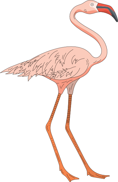 Pink Flamingo And Others Art Inspiration Clipart