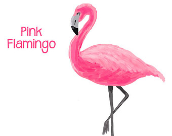 Flamingo Download Png Clipart